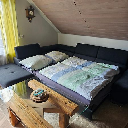 Chickenhill Blackforest, Grosse Ferienwohnung Im Schwarzwald บาดวิลด์บาด ภายนอก รูปภาพ
